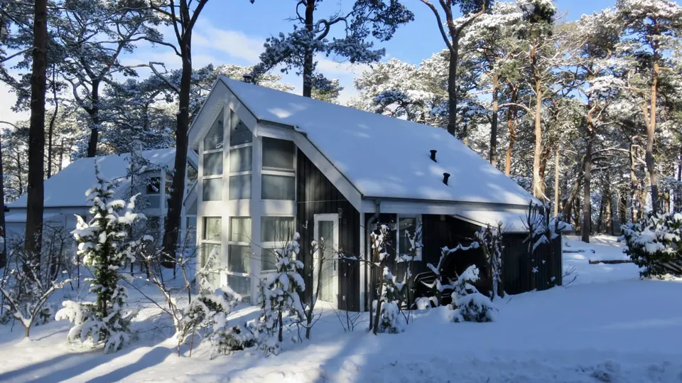 Das Ferienhaus im Schnee hinter hohen Kiefern